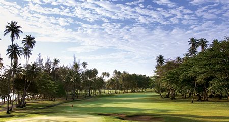 Tpc Dorado Beach Championship Golf In Puerto Rico Tpc Doradro Beach Contact Information