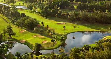 Tpc Dorado Beach Championship Golf In Puerto Rico Tpc Dorado Beach Sugarcane Course