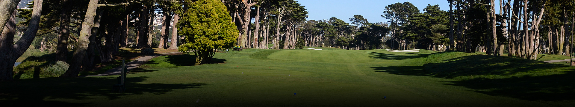 TPC Harding Park