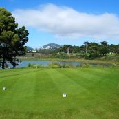 harding park tee time