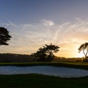 harding park tee time