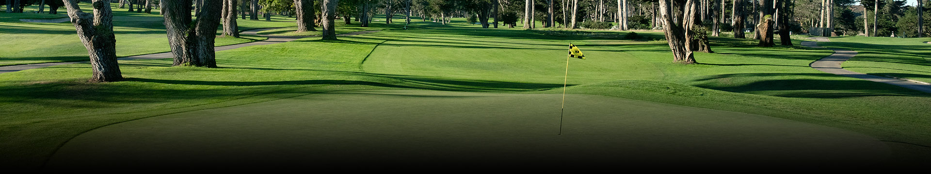 TPC Harding Park - Fleming 9