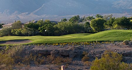 TPC Las Vegas | PGA TOUR Public Golf in Las Vegas, Nevada