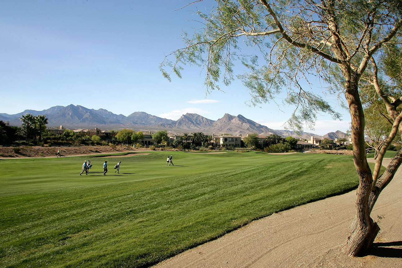 TPC Las Vegas Buddy & Leisure Groups