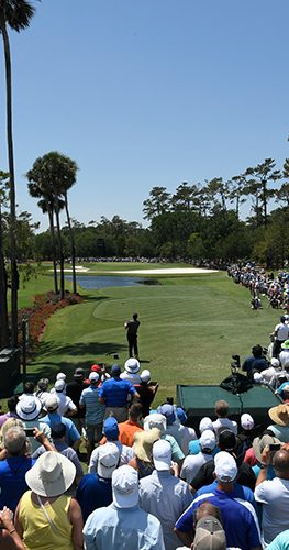 THE PLAYERS Championship Tournament - TPC.com | TPC Sawgrass