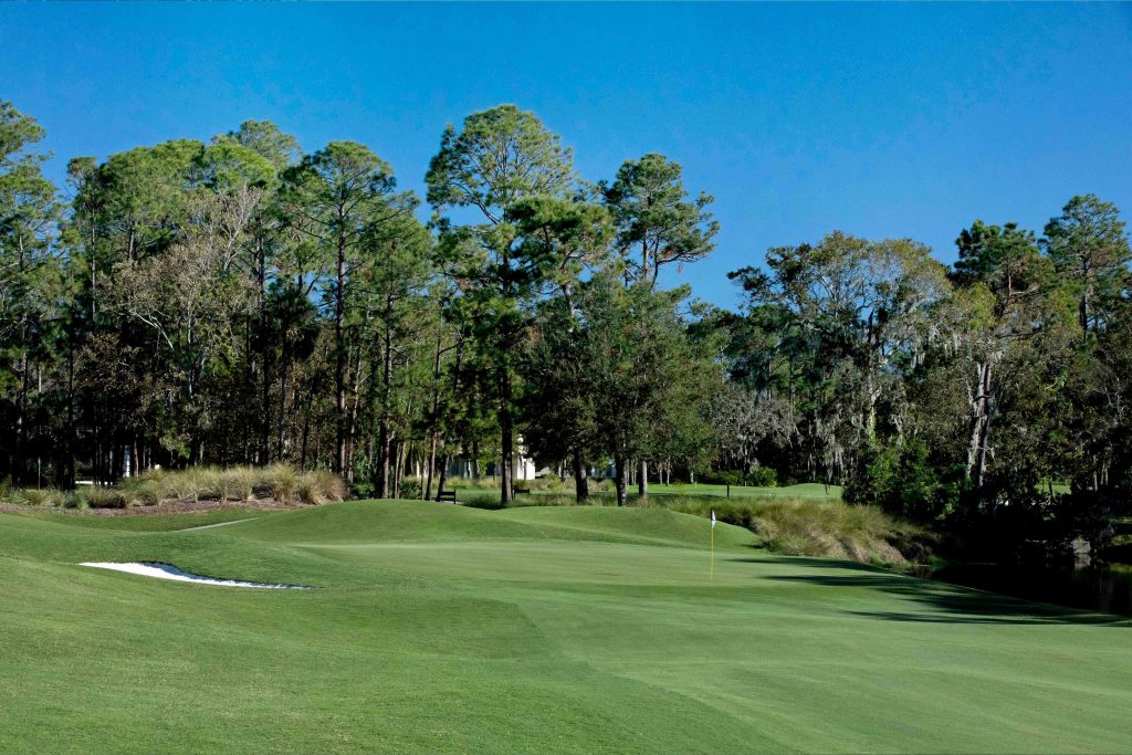 Dye's Valley Course - TPC.com | TPC Sawgrass