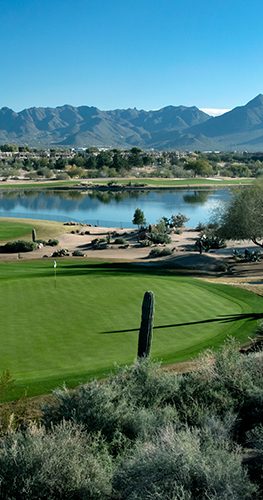 TPC Scottsdale: Courses, Golf Tee Times in Arizona - TPC.com