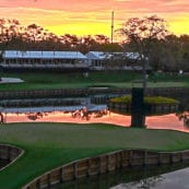 TPC Network - Official Website | TPC.com